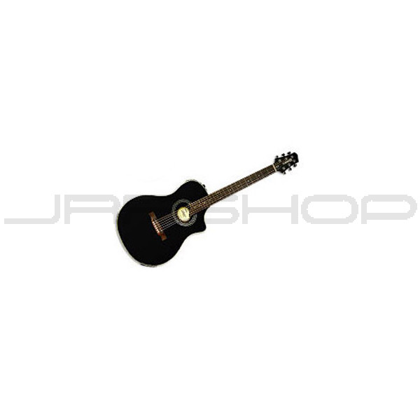 Detail Gittern Instrument Nomer 17