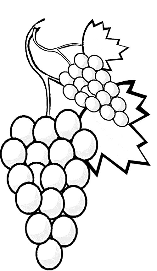 Detail Malvorlage Obst Nomer 7