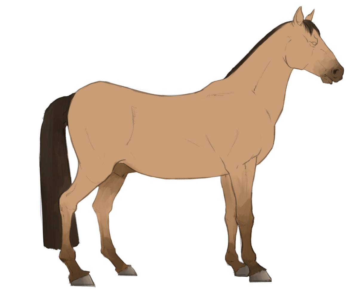 Detail Pferd Gezeichnet Nomer 15