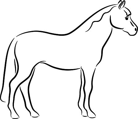 Detail Pferd Gezeichnet Nomer 21