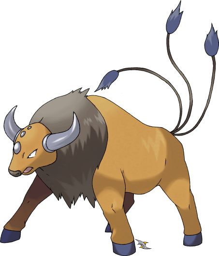 Detail Pogo Tauros Nomer 7