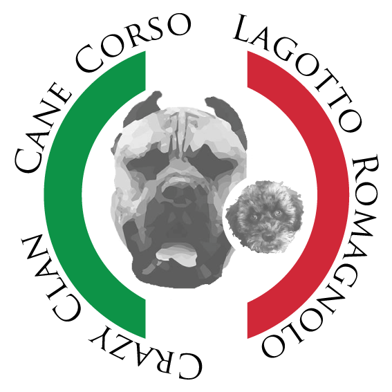 Detail Schwarzer Cane Corso Nomer 18
