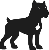 Detail Schwarzer Cane Corso Nomer 4