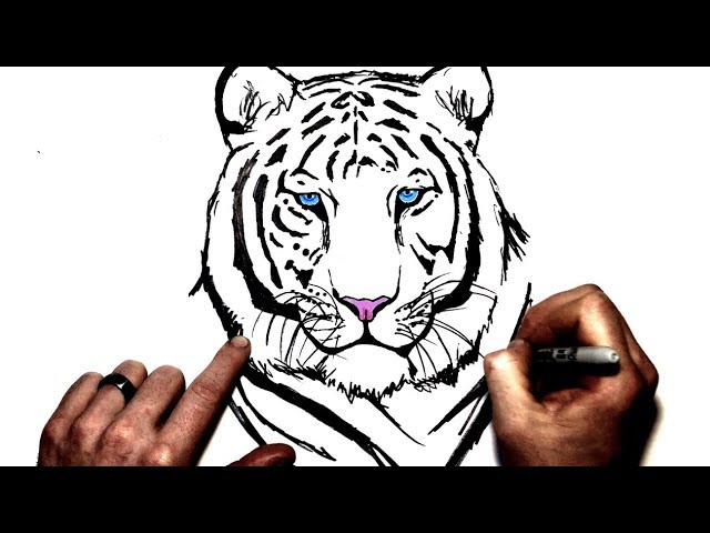 Detail Simple Tiger Drawing Face Nomer 10