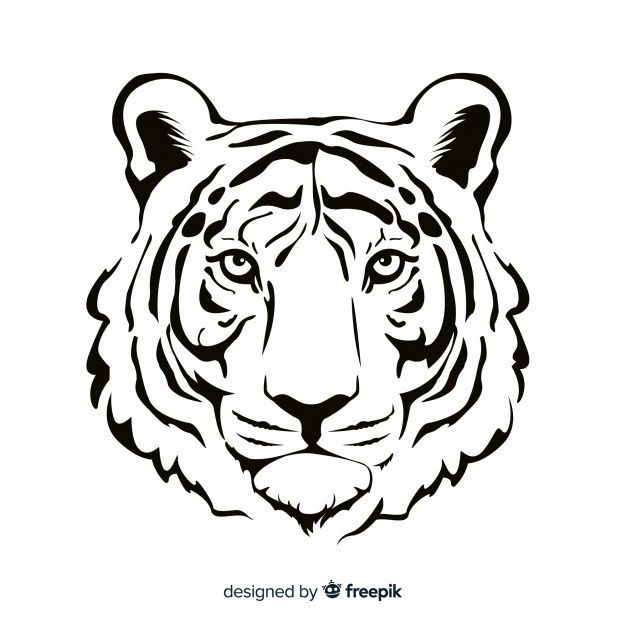 Detail Simple Tiger Drawing Face Nomer 5