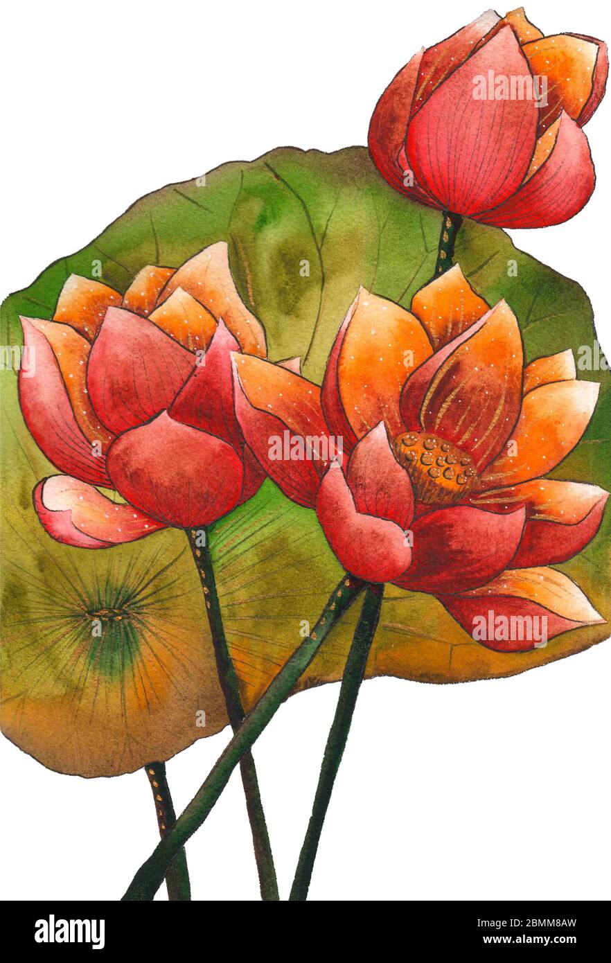 Detail Chinese Water Lily Painting Nomer 15