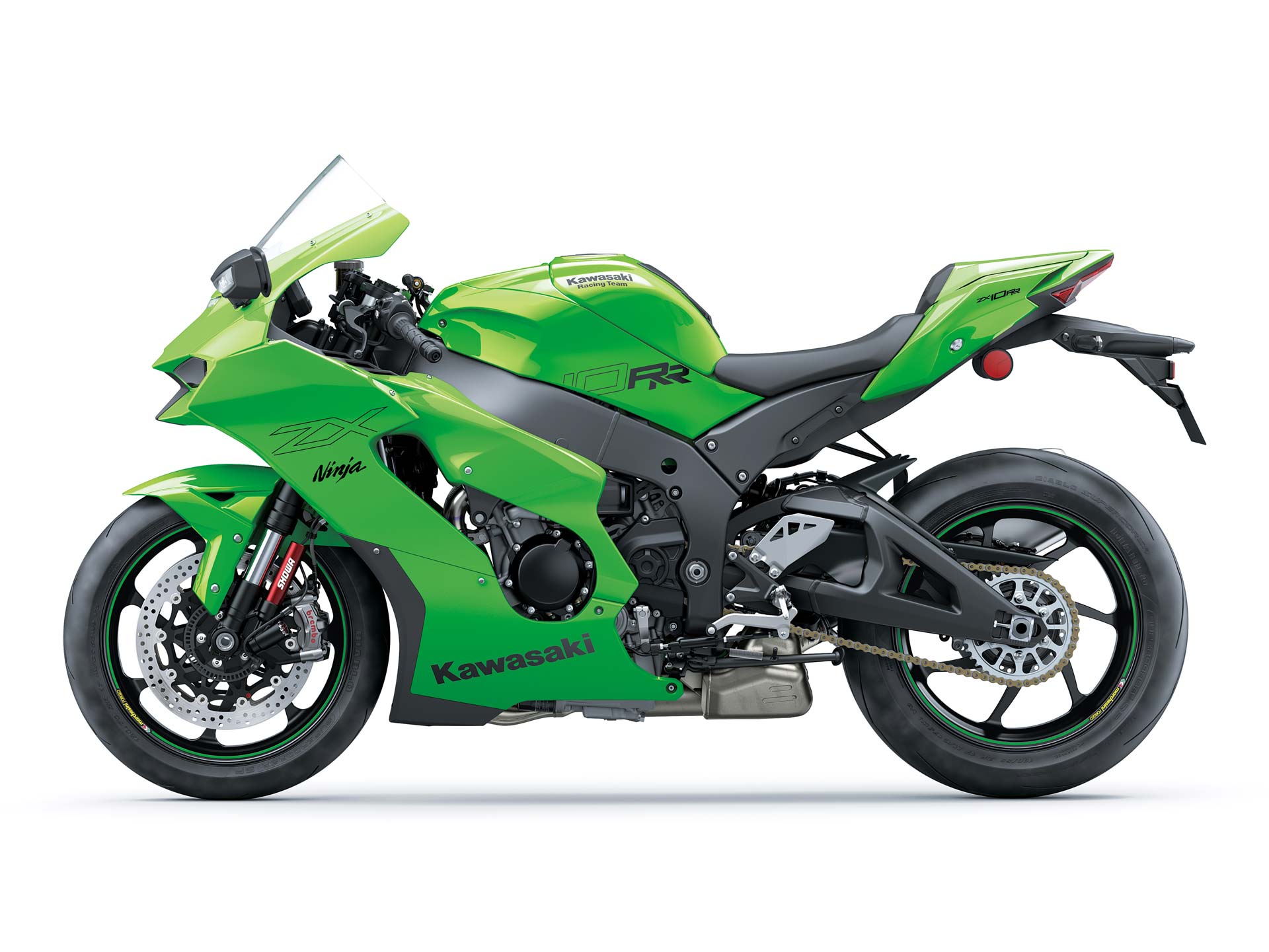 Detail Druck Ninja Nomer 21