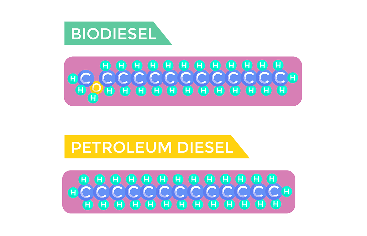 Detail Gambar Bio Diesel Nomer 47