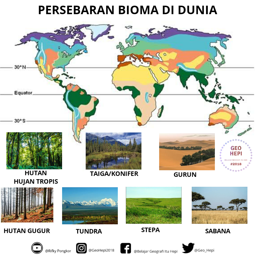 Detail Gambar Bioma Sabana Nomer 25