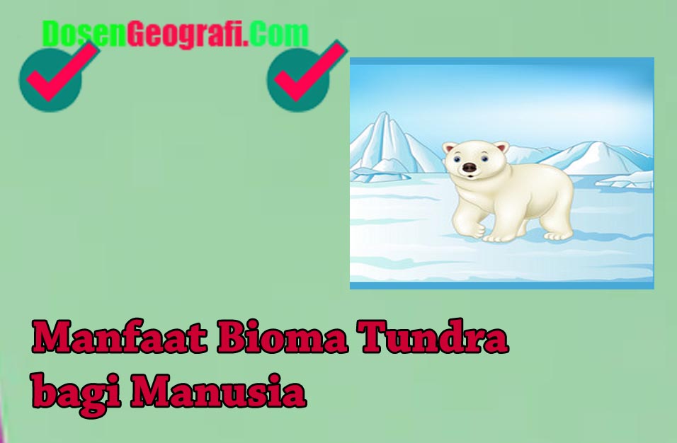 Detail Gambar Bioma Tundra Nomer 40