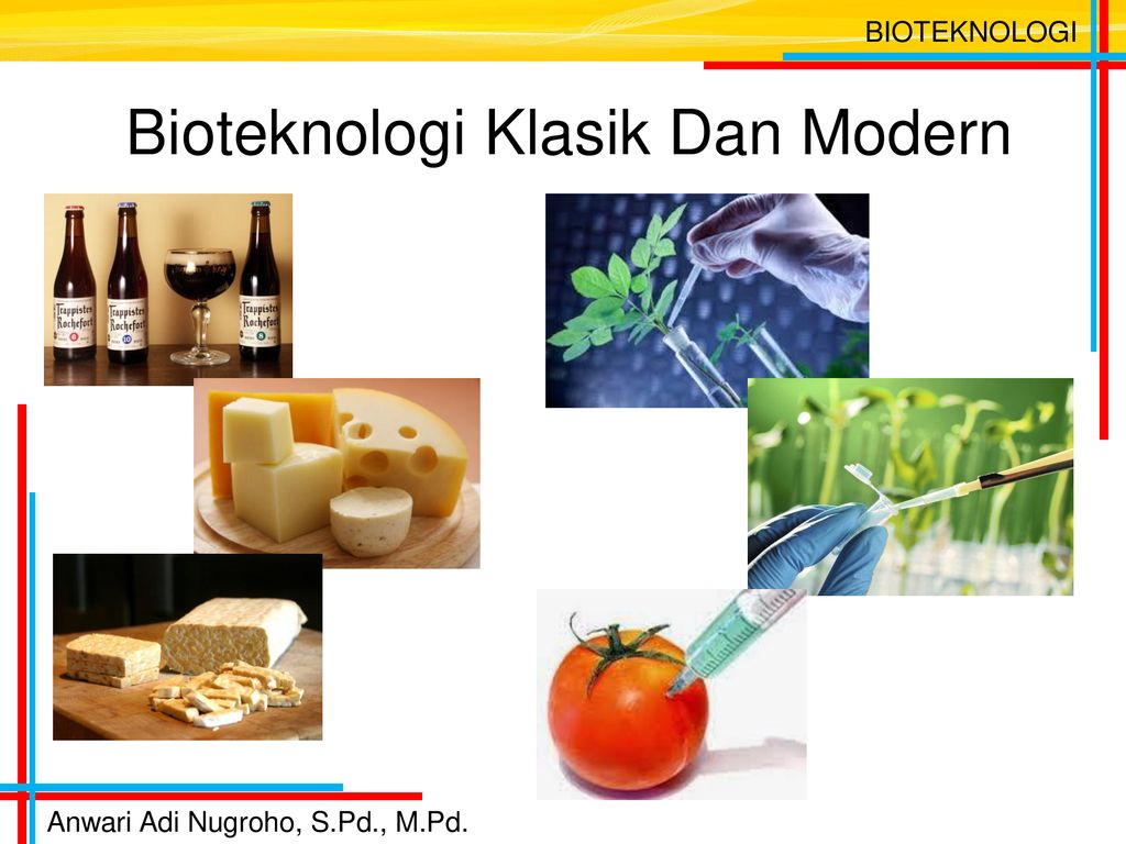 Detail Gambar Bioteknologi Konvensional Nomer 22