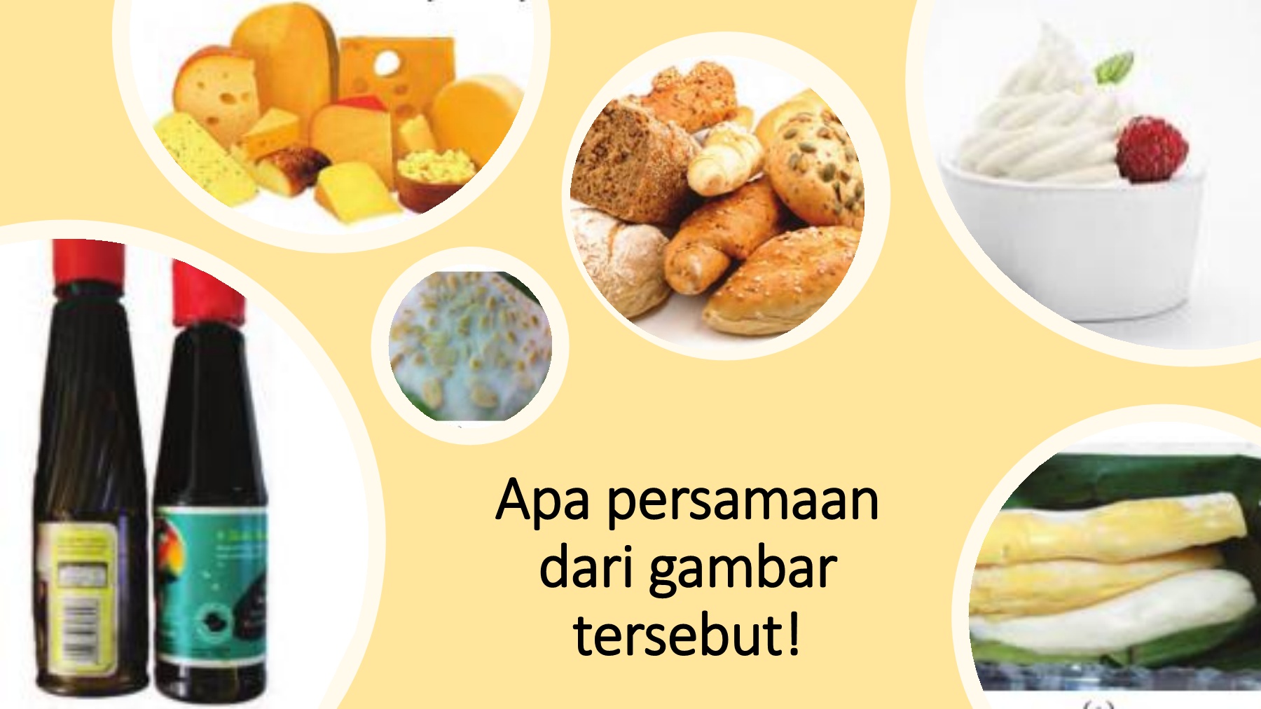 Detail Gambar Bioteknologi Konvensional Nomer 31