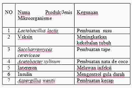 Detail Gambar Bioteknologi Konvensional Nomer 41