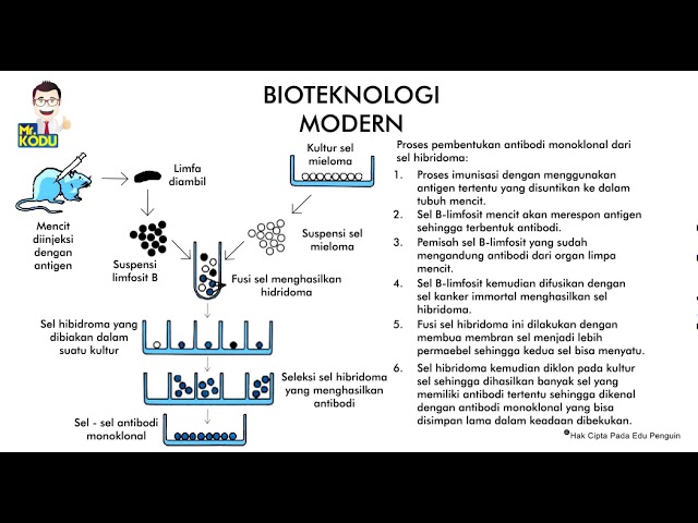 Detail Gambar Bioteknologi Modern Nomer 6
