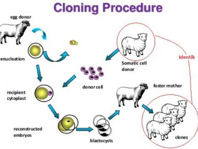 Detail Gambar Bioteknologi Modern Nomer 7