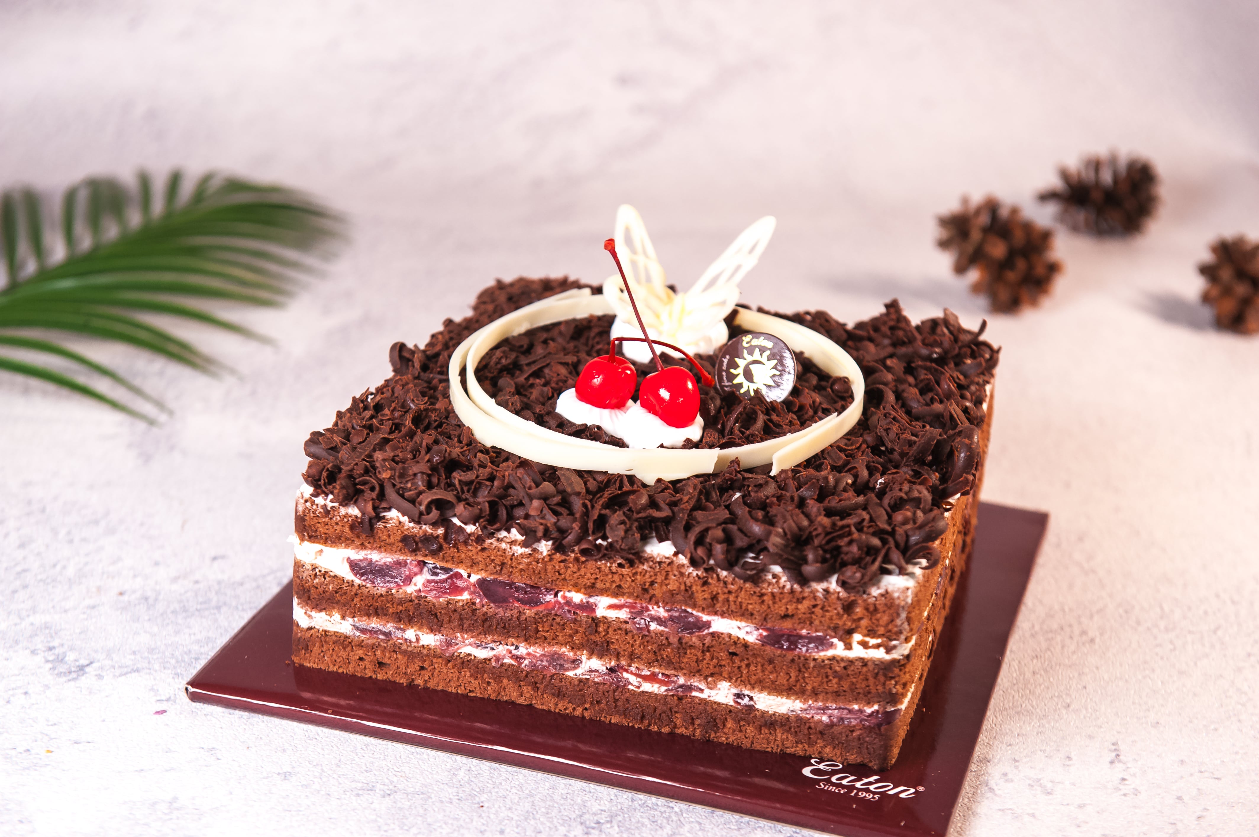 Detail Gambar Black Forest Kotak Nomer 47