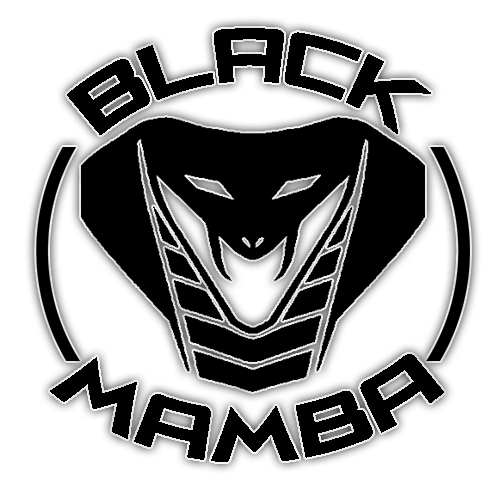 Detail Gambar Black Mamba Nomer 22