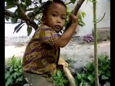 Detail Gambar Bocah Lucu Gokil Nomer 37