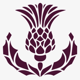 Detail Scottish Thistle Png Nomer 12