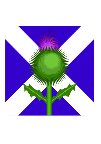 Detail Scottish Thistle Png Nomer 13