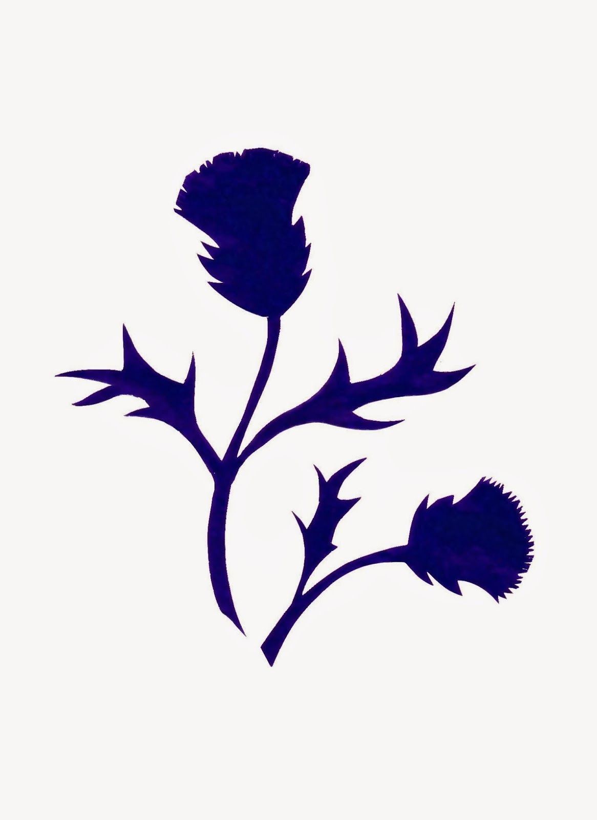 Detail Scottish Thistle Png Nomer 15