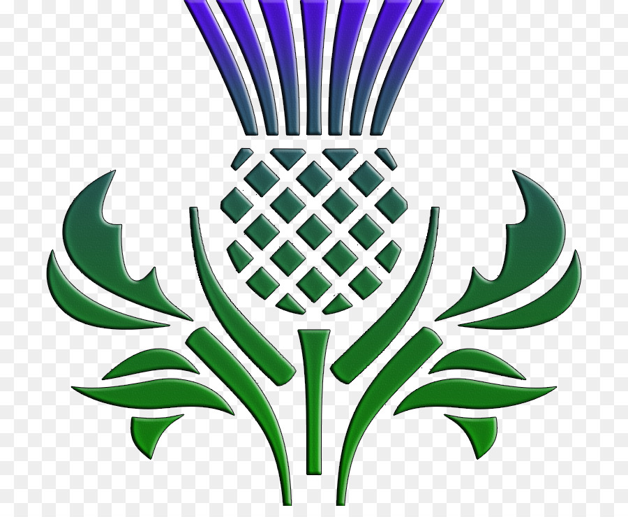 Detail Scottish Thistle Png Nomer 6