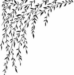 Willow Tree Leaves Drawing - KibrisPDR
