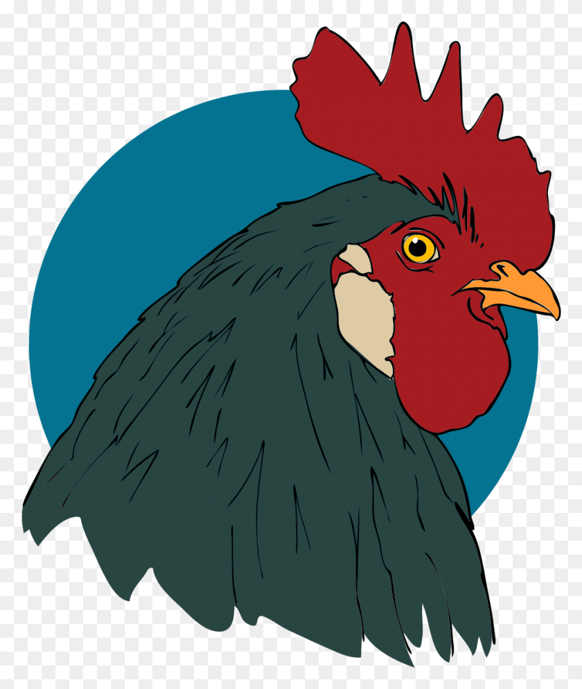 Detail Gambar Bola Animasi Gambar Ayam Animasi Nomer 7
