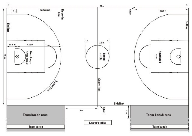 Detail Gambar Bola Basket Dan Ukurannya Nomer 48
