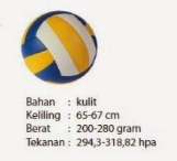 Detail Gambar Bola Voli Dan Ukurannya Nomer 34