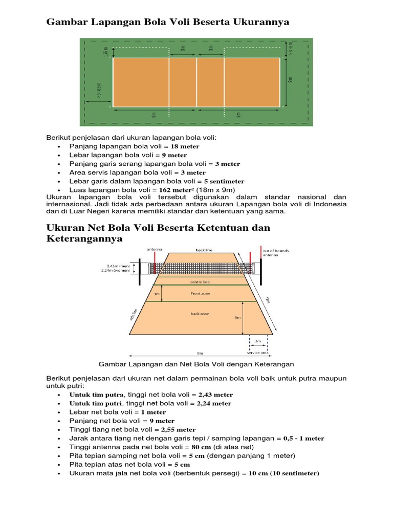 Detail Gambar Bola Voli Lapangan Nomer 50