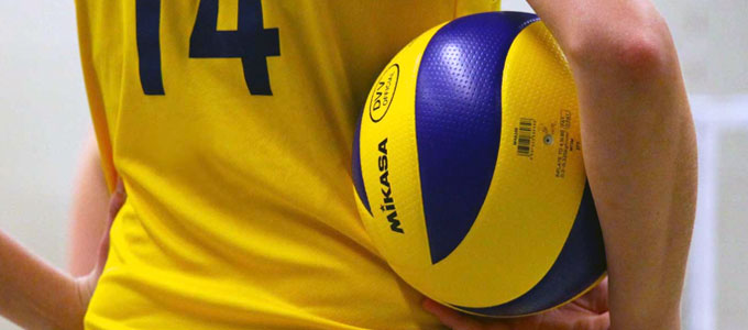 Detail Gambar Bola Volley Nomer 53