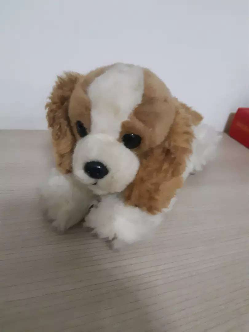 Detail Gambar Boneka Anjing Nomer 27