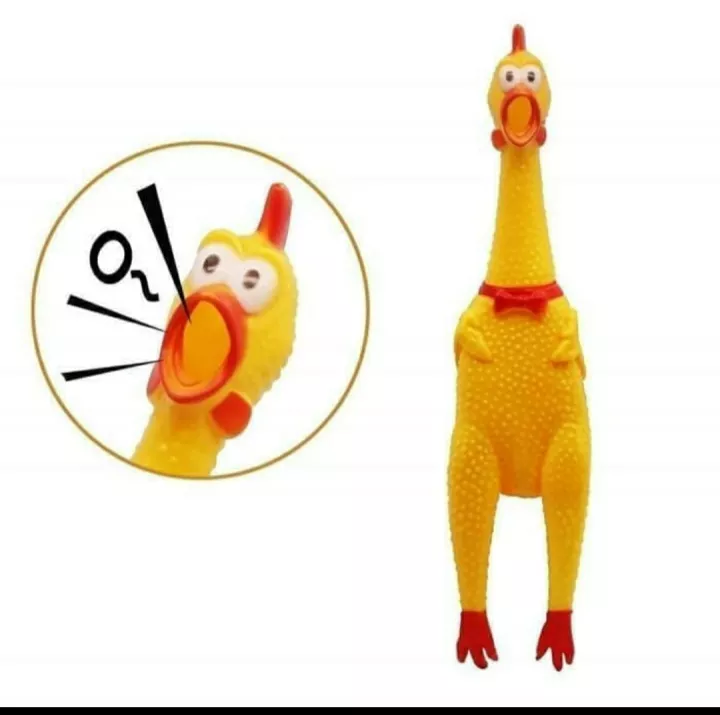 Detail Gambar Boneka Ayam Nomer 26