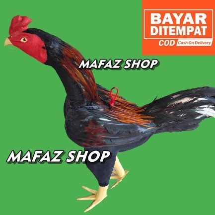 Detail Gambar Boneka Ayam Nomer 41