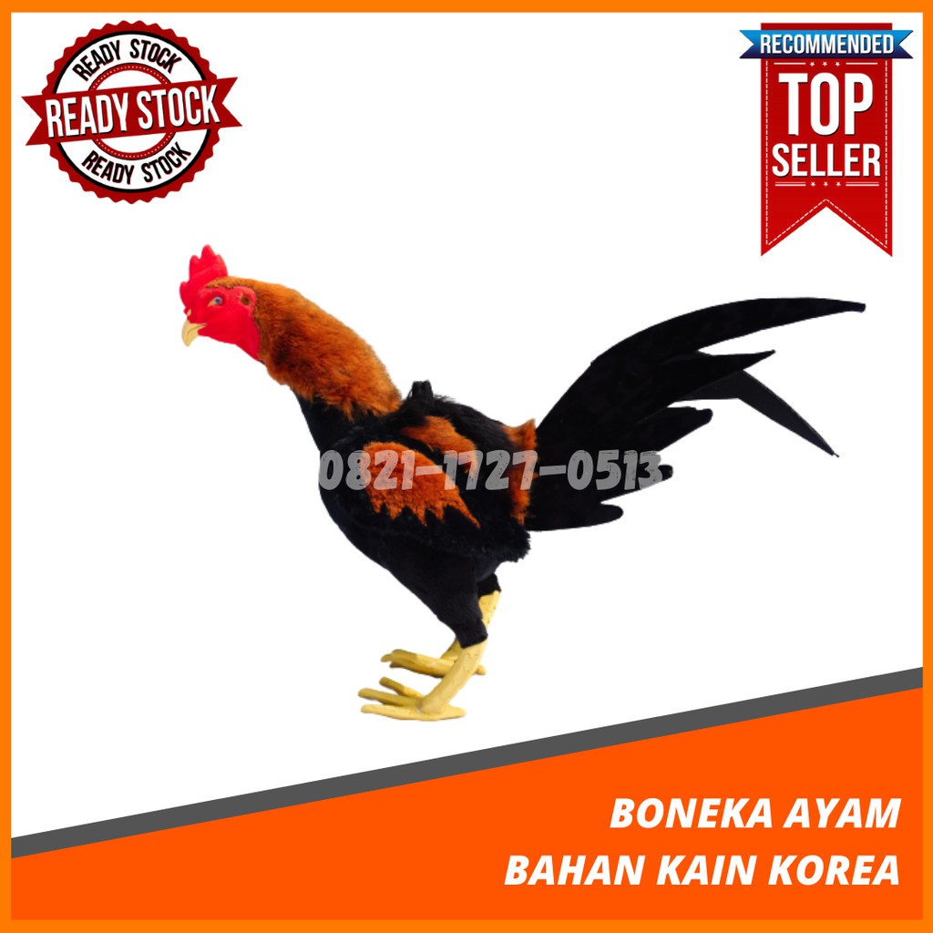 Detail Gambar Boneka Ayam Nomer 43