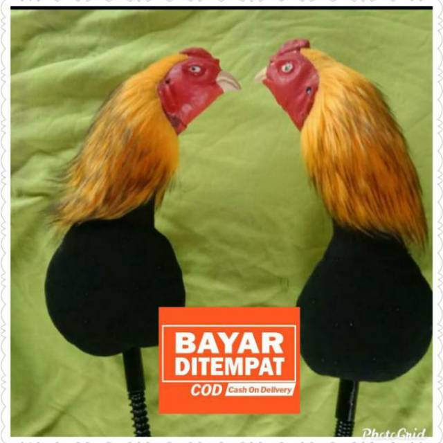 Detail Gambar Boneka Ayam Nomer 44