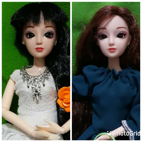 Detail Gambar Boneka Barbie Korea Nomer 44