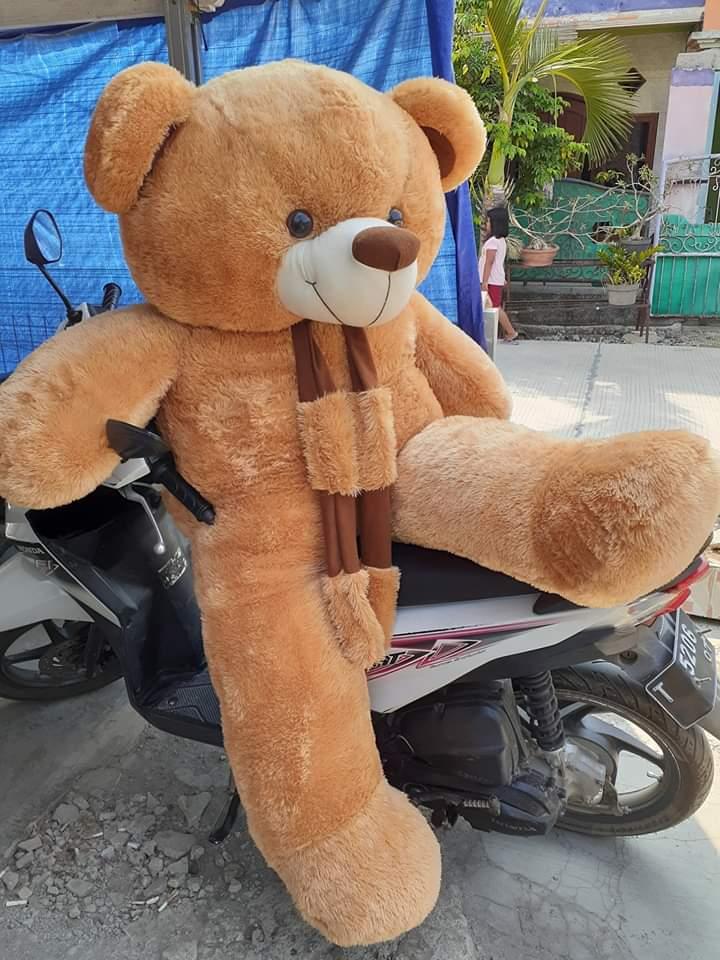 Detail Gambar Boneka Bear Besar Nomer 28