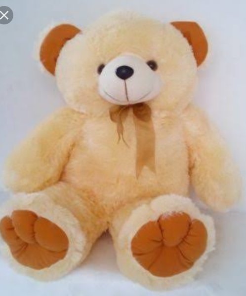 Detail Gambar Boneka Beruang Nomer 36