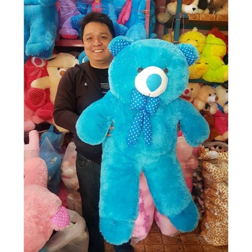 Detail Gambar Boneka Beruang Warna Biru Nomer 20