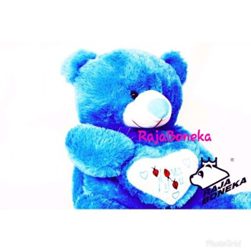 Detail Gambar Boneka Beruang Warna Biru Nomer 29