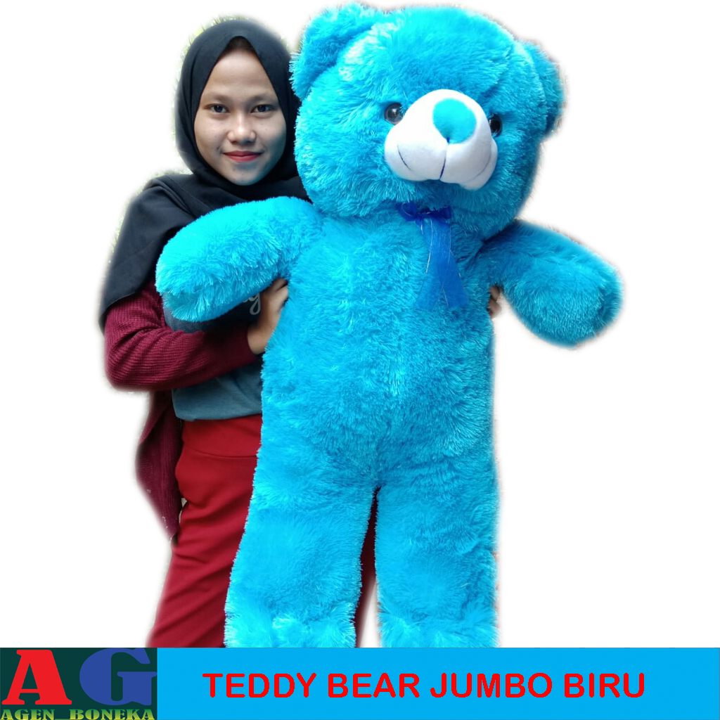 Detail Gambar Boneka Beruang Warna Biru Nomer 49