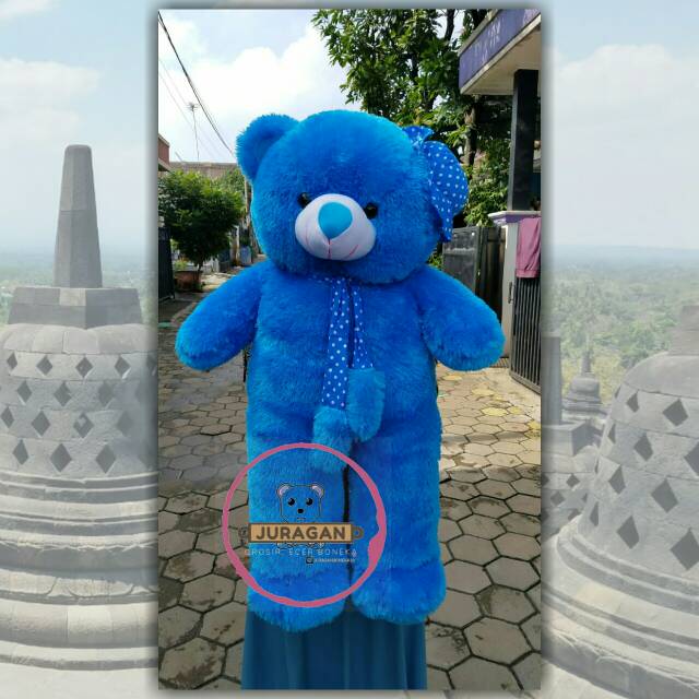 Detail Gambar Boneka Beruang Warna Biru Nomer 51