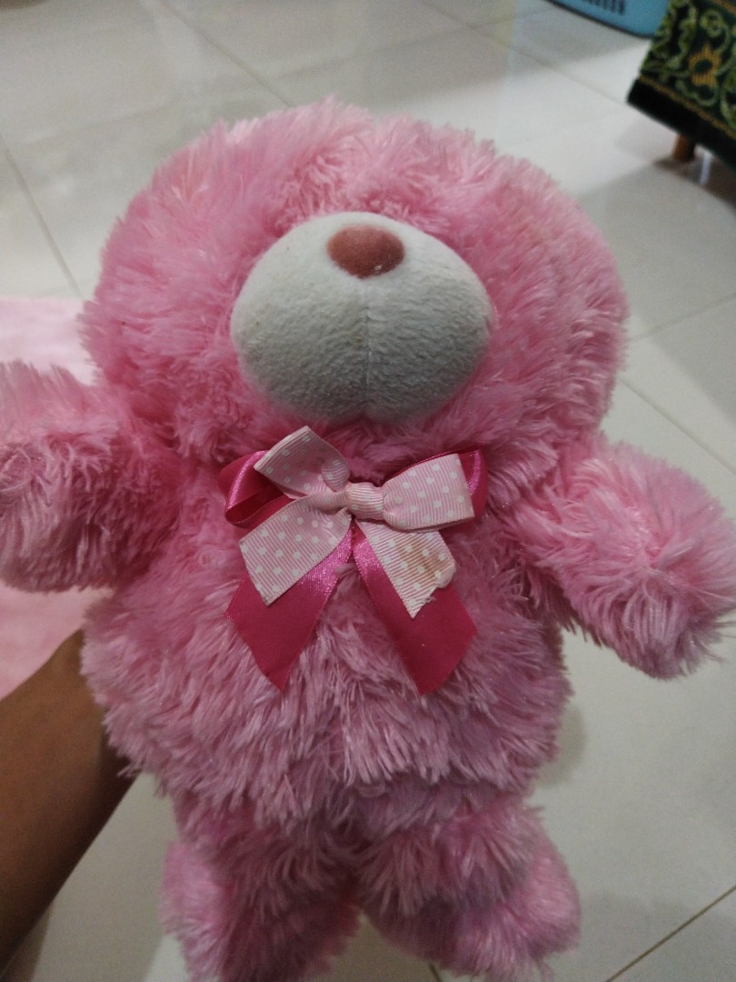 Detail Gambar Boneka Beruang Warna Pink Nomer 36