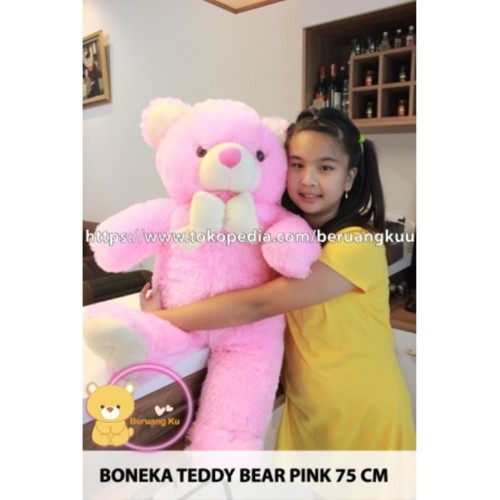 Detail Gambar Boneka Beruang Warna Pink Nomer 39