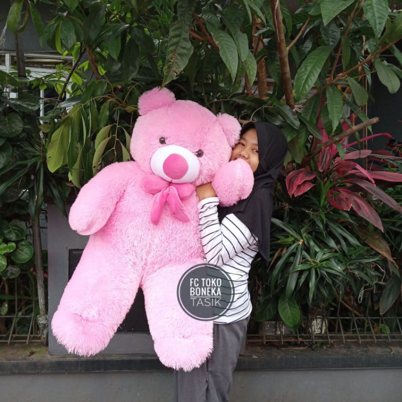 Detail Gambar Boneka Beruang Warna Pink Nomer 48