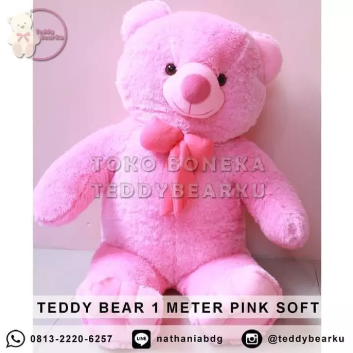 Detail Gambar Boneka Beruang Warna Pink Nomer 8