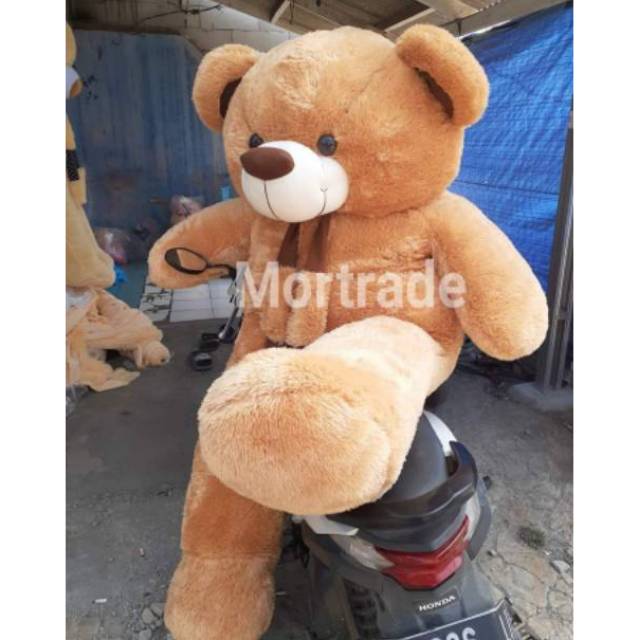 Detail Gambar Boneka Beruang Yang Besar Nomer 3