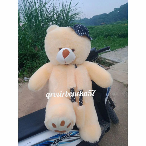 Detail Gambar Boneka Beruang Yang Besar Nomer 30